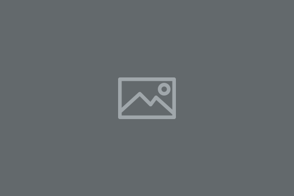 Web Hosting